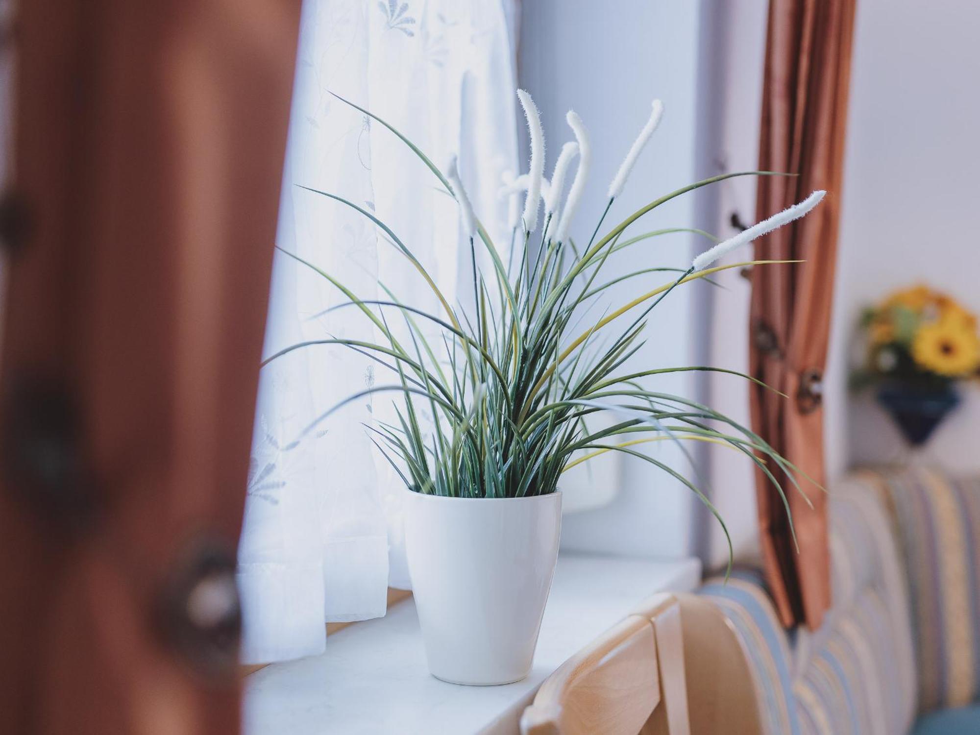 Lakeside Appartement Plattner By We Rent, Summercard Included ツェル アム ゼー エクステリア 写真